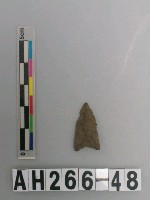 藏品(打製凹底石鏃)的圖片